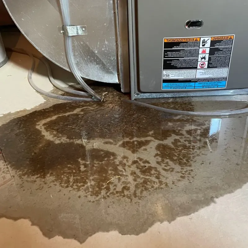 Pipe Burst and Leak Restoration in Hyde Park, UT